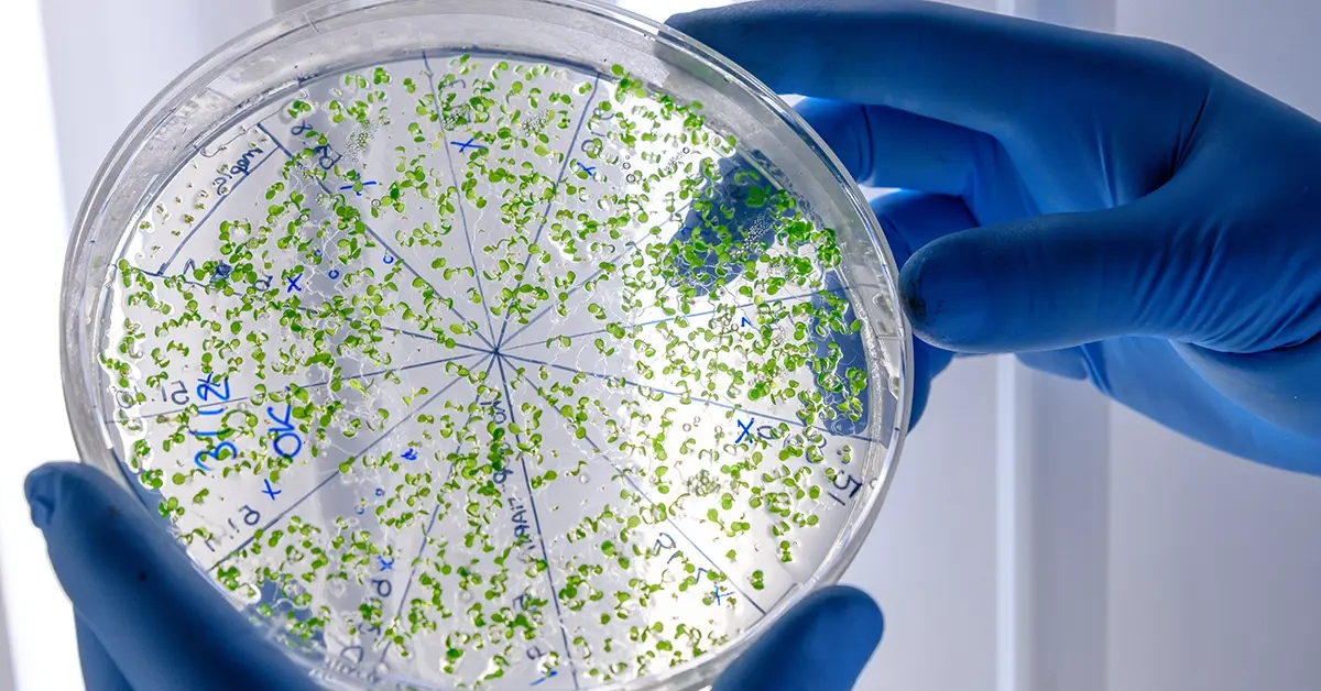 news-fight-microbial